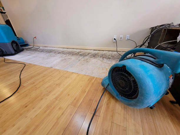 Professional Emergency Water Damage technician working in Delano, MN